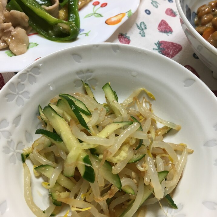 糖質制限 もやしときゅうりのナムル風おひたし レシピ 作り方 By ねこすけ ゆるーく糖質制限中 楽天レシピ 糖質制限 もやしときゅうりのナムル風おひたし レシピ 作り方 By ねこすけ ゆるーく糖質制限中 楽天レシピ